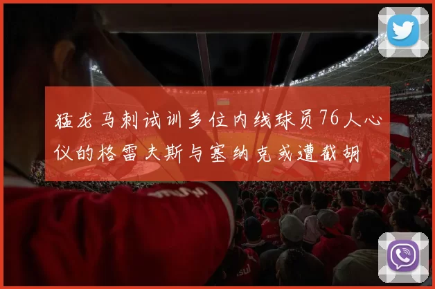 猛龙马刺试训多位内线球员76人心仪的格雷夫斯与塞纳克或遭截胡